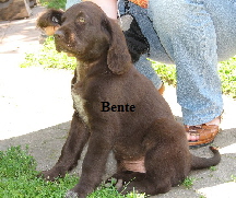 a_Bente_