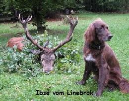 NetObjects Web Design Placeholder